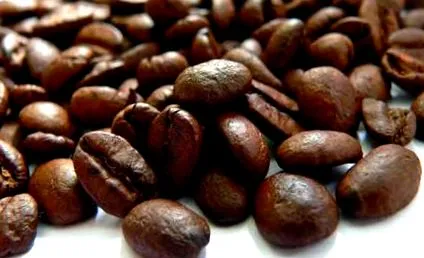 koffein koffein