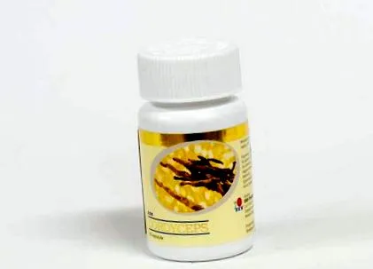 Cordyceps synensis Cordyceps synensis