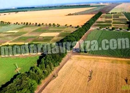 látom esszepályázat