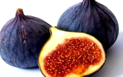 gyógyító gyógyító tulajdonságai