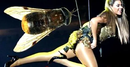 beyonce-nak lólepkét