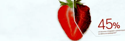 vitafresh hűtőszekrények