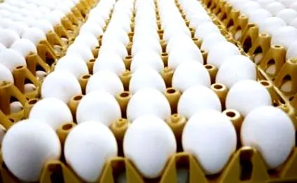 felajánlott
