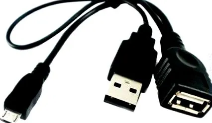 micro host