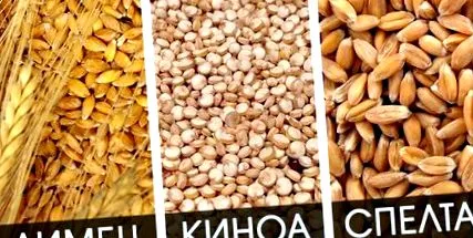 másik quinoa