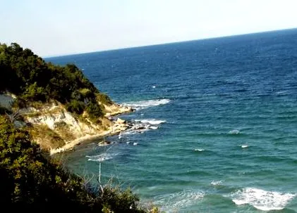 Marine Energy szuperélelmiszer