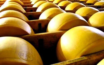 ízére ellenére Parmigiano