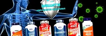 erős antioxidáns 4Fitness Shop