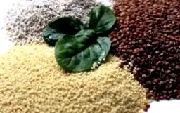 megoldás