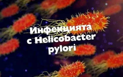 helicobacter helicobacter