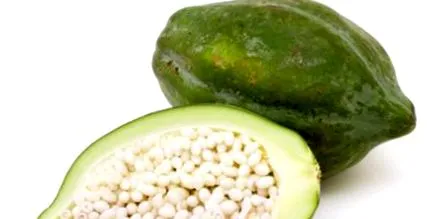 segít papaya