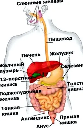 tisztítása történik