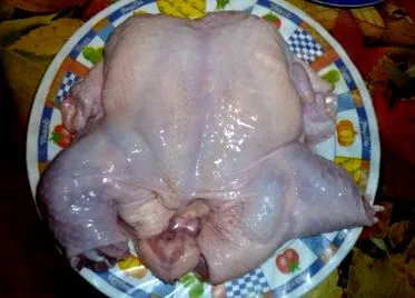 steakekkel