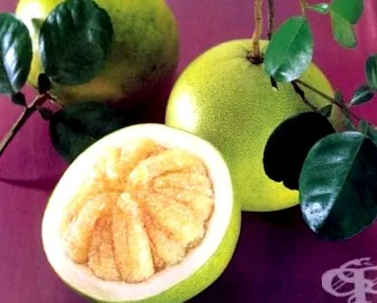 pomelo ételek