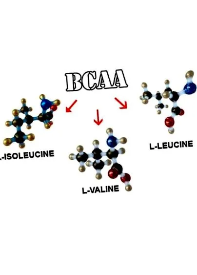 bcaa-ról információ