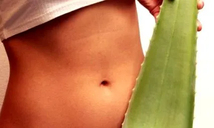 aloe