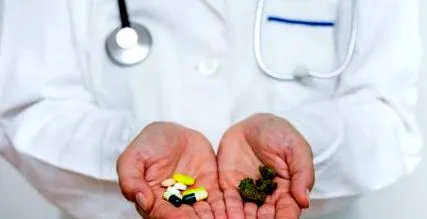 kannabisz kannabisz