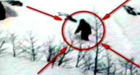 felfedték yeti
