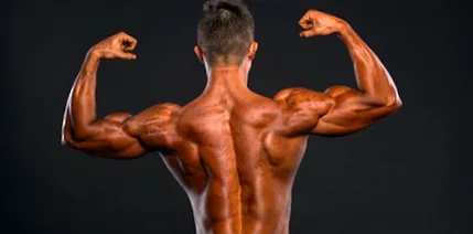 bicepsz fordítottan