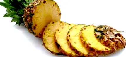 típusú típusú