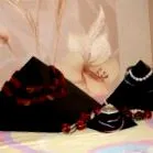 test shungite