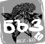 feketeribizli arábiaszirup