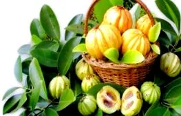 garcinia