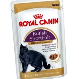 canin brit