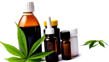kannabiszolaj