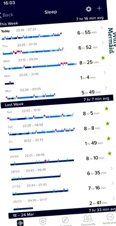 fitbit kiegészítő
