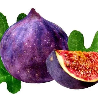 füge hajért