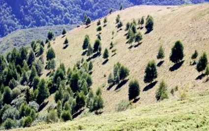 négy