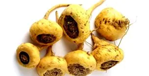 superfoods organic