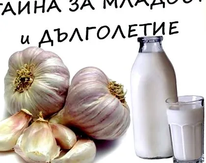élettartam