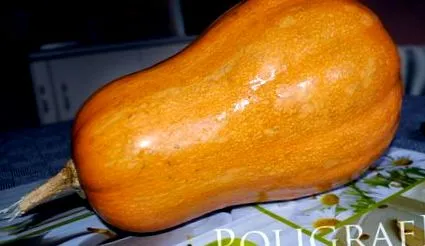 burgasz