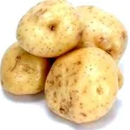 burgonya