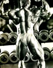 endomorph edzés