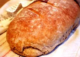 maradt búza