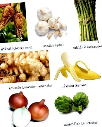 rostokkal