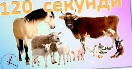 hírek hírek