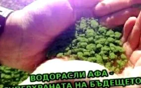 szuperélelmiszerei aquasource-tól