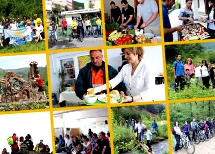 mert projekt