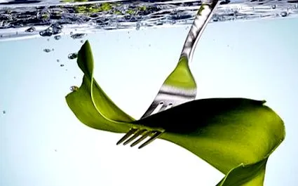 laminaria algae
