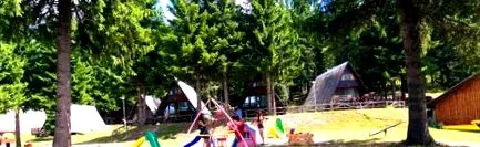forest forest
