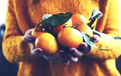 mandarin dolgai