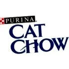 chow