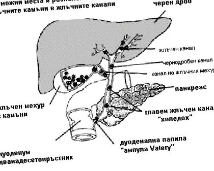 epekövek