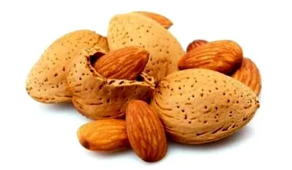 fehérjében gazdag étel