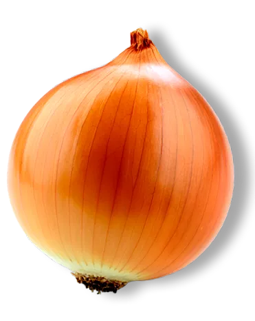 terhesség hetek