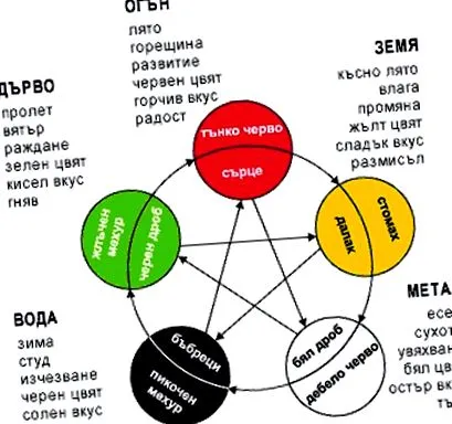 program fogyókúra